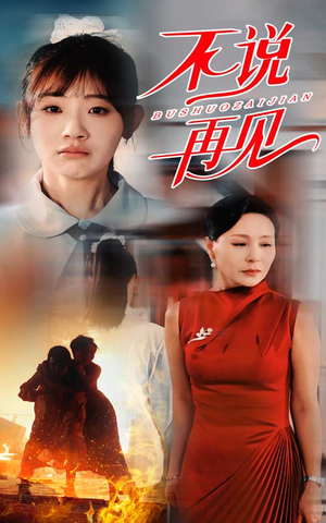 不说再见(31集) 不说再见(31集)最后的大结局