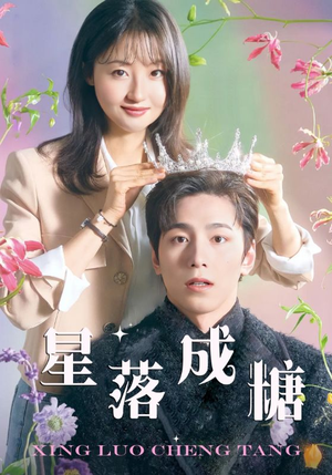 星落成糖(49集) 星落成糖(49集)评价怎么样