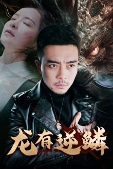 龙有逆鳞(81集) 龙有逆鳞(81集)热门短剧排行榜