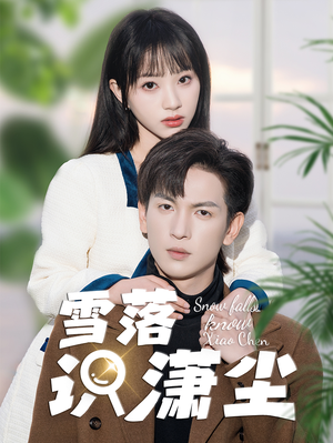 雪落识潇尘（80集）超好看短剧推荐