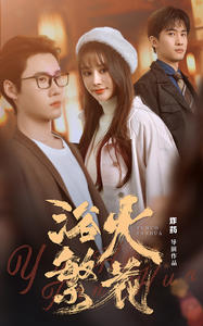 欲火繁花（83集）精彩短剧看全集