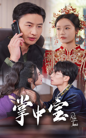 掌中宝（31集）短剧热门分享