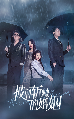 披荆斩棘的婚姻（70集）在线免费观影