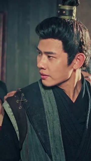 精忠报国(41集) 精忠报国(41集)好看上头的短剧