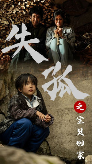 失孤之宝贝回家(71集) 失孤之宝贝回家(71集)剧好看短剧推荐