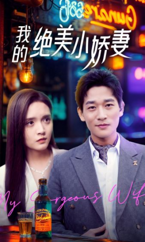 我的绝美小娇妻（80集）高分推荐免费看