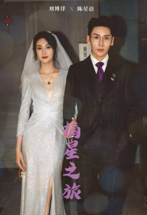 摘星之旅(88集) 摘星之旅(88集)短剧上头又好看