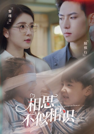 相思不似相识(101集) 相思不似相识(101集)红果免费短剧