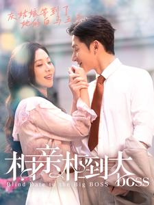 相亲相到大boss(101集) 相亲相到大boss(101集)短剧在线观看
