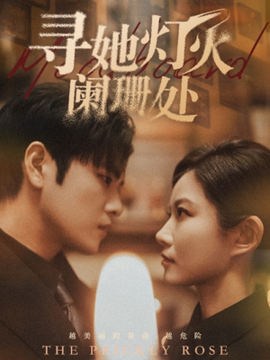 寻她灯火阑珊处(61集) 寻她灯火阑珊处(61集)在哪个平台能看