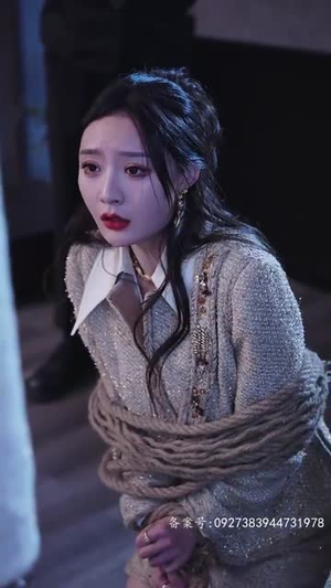 爱若流星（84集）免费看全集