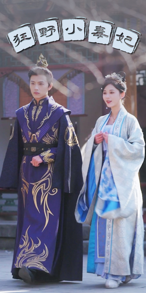 狂野小毒妃(87集) 狂野小毒妃(87集)演的怎么样