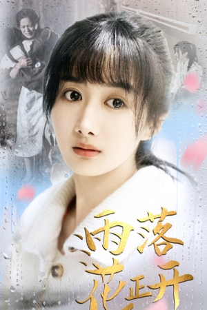 雨落花正开(62集) 雨落花正开(62集)深深爱上这部剧
