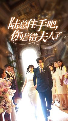 陆总住手吧,你虐错夫人了(80集) 陆总住手吧,你虐错夫人了(80集)热门短剧来袭