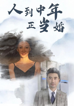 人到中年正当婚(81集) 人到中年正当婚(81集)短剧全集免费