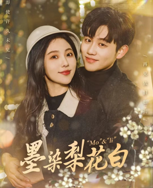 墨染梨花白(86集) 墨染梨花白(86集)演的怎么样