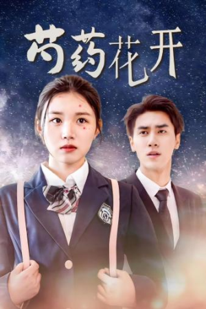 火光中的芍药花（77集）番茄短剧看全集