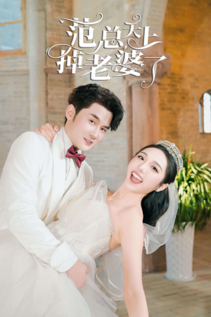 范总天上掉老婆了(78集) 范总天上掉老婆了(78集)短剧在线观看