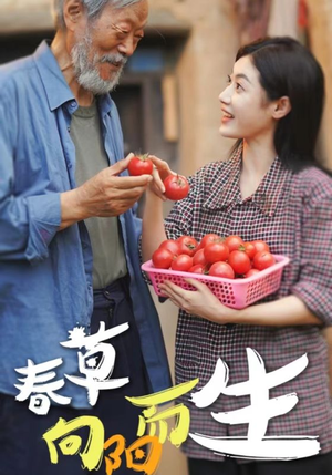 春草向阳而生(53集) 春草向阳而生(53集)短剧太好看了