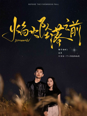 焰火坠落之前(99集) 焰火坠落之前(99集)免费看全网短剧