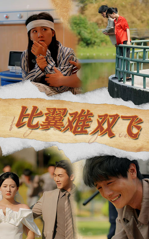 比翼难双飞(30集) 比翼难双飞(30集)真的太精彩了