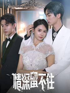 情深留不住(80集) 情深留不住(80集)火爆短剧热播中