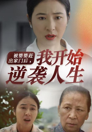 被婆婆赶出家门后我开始逆袭人生（83集）番茄短剧免费看
