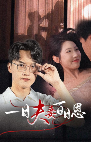 一日夫妻百日恩（30集）网盘在线观看