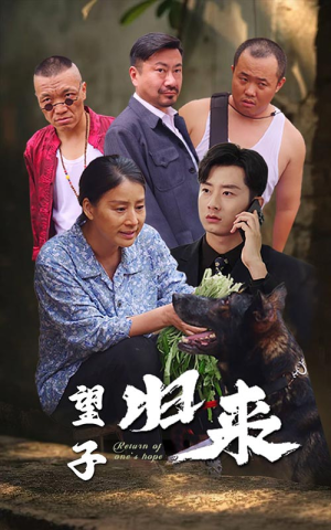 望子归来（50集）短剧全集完整