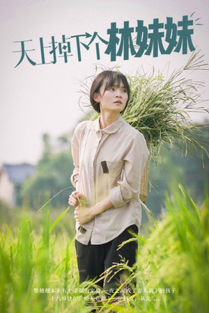 天上掉下个林妹妹(81集) 天上掉下个林妹妹(81集)完整版
