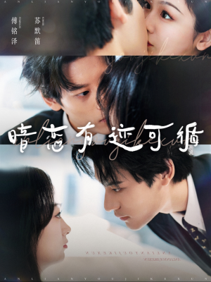 暗恋有迹可循(101集) 暗恋有迹可循(101集)大结局