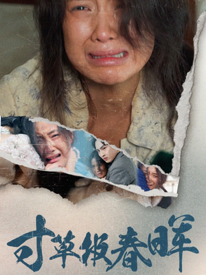 寸草报春晖(65集) 寸草报春晖(65集)在哪看