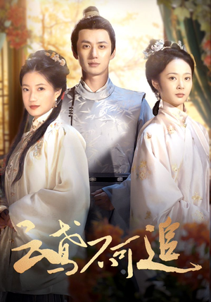 云鸢不可追（42集）在线免费观影