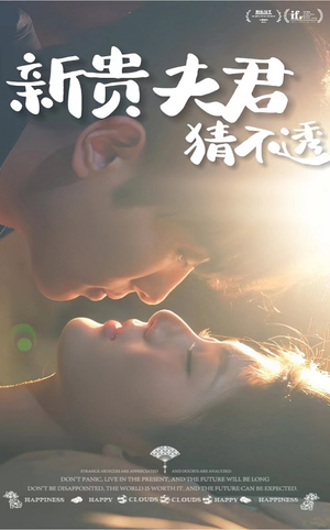 新贵夫君猜不透(84集) 新贵夫君猜不透(84集)短剧介绍