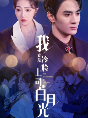 我竟是冷脸上司的白月光(80集) 我竟是冷脸上司的白月光(80集)直接看到大结局