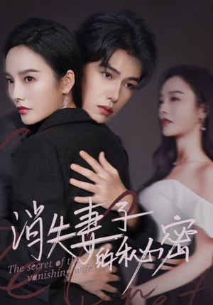 消失妻子的秘密(60) 消失妻子的秘密(60)无需会员免费看