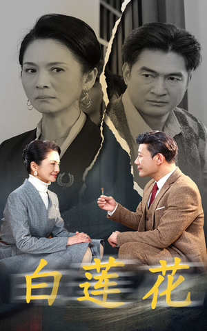 白莲花（40集）在线播放