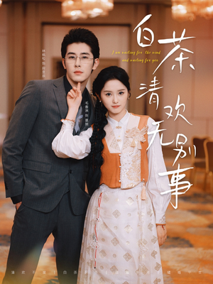 白茶清欢无别事（66集）在线观看完整版