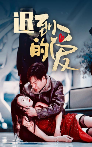 迟到的爱(35集) 迟到的爱(35集)观看软件