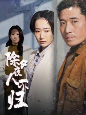 除夕夜人不归(47集) 除夕夜人不归(47集)去哪里看