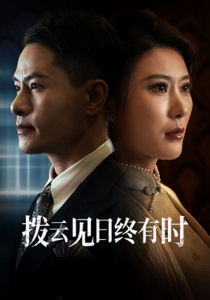 拨云见日终有时（30集）一口气追完全集