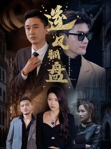 新:逆风翻盘(94集) 新:逆风翻盘(94集)免费观看完整版