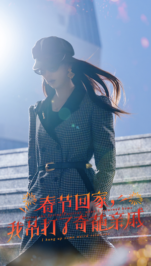 春节回家,我吊打了奇葩亲戚(30集) 春节回家,我吊打了奇葩亲戚(30集)第32集