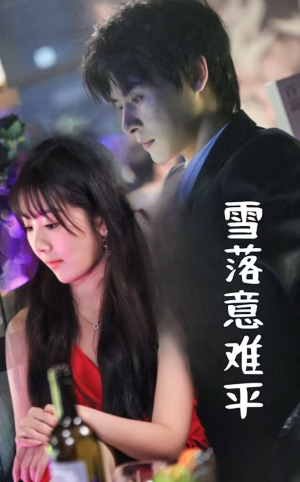 雪落意难平（35集）免费在线看全集