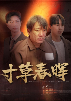 寸草春晖（31集）热门短剧推荐