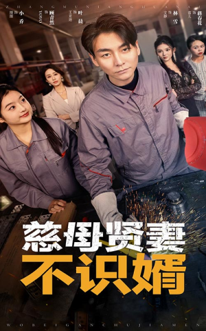 慈母贤妻不识婿（45集）一口气追完短剧