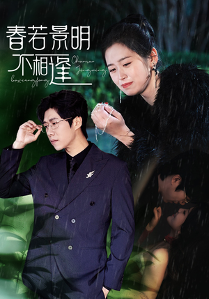 春若景明不相逢(50集) 春若景明不相逢(50集)全集一网打尽