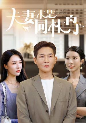 夫妻本是同林鸟（76集）短剧免费看