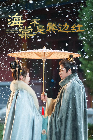 人生若只如初见(30集) 人生若只如初见(30集)网盘在线观看