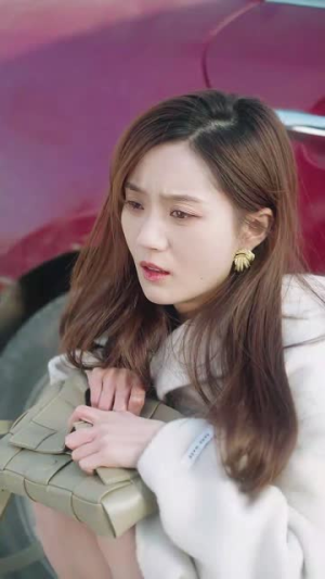 夫妻双双搞钱(82集) 夫妻双双搞钱(82集)短剧分享剧集